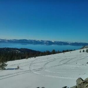 Meet your Posher, Steve